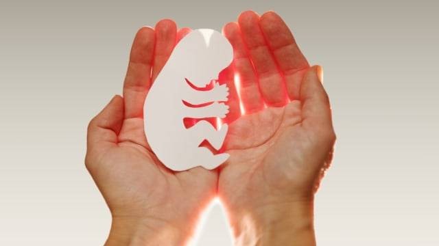 Ilustrasi aborsi. Foto: Shutterstock