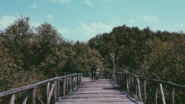 Cara ke Taman Wisata Alam Mangrove Angke Kapuk. Sumber: Reza Badar /Unsplash