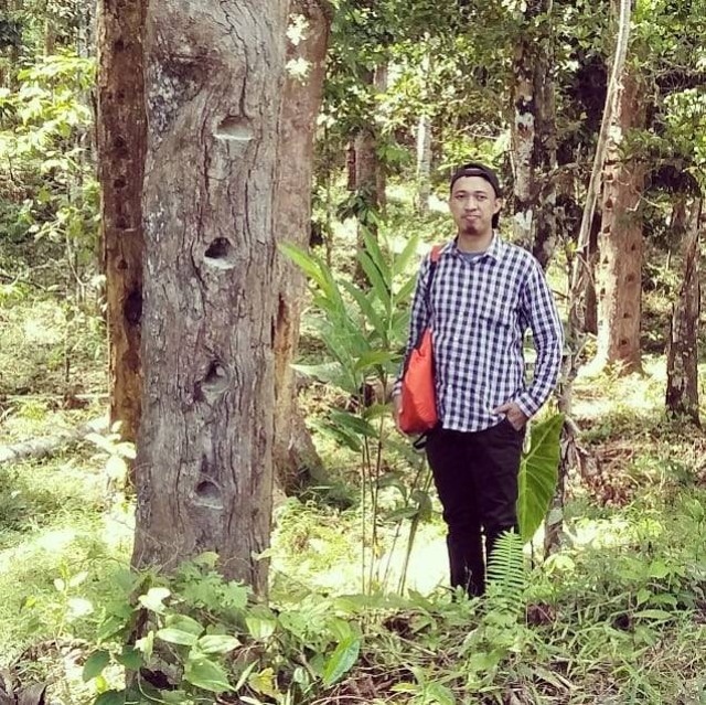 Pohon Shorea Javanica penghasil getah damar mata kucing di Kabupaten Pesisir Barat (Dok. Pribadi)