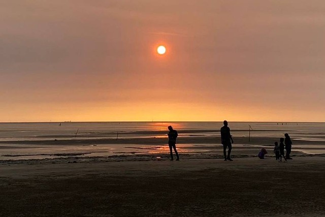 Pantai Lampu Satu, Merauke. Foto: Rinjani Meisa/kumparan