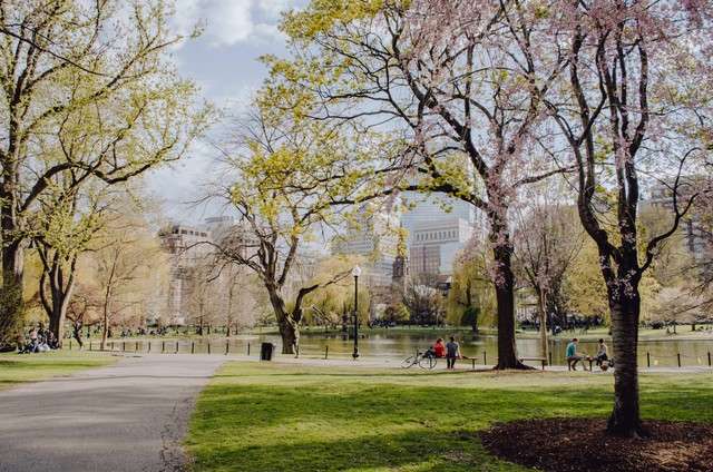 Ilustrasi Makanan di Cibis Park, Foto: Unsplash/Kelly Sikkema