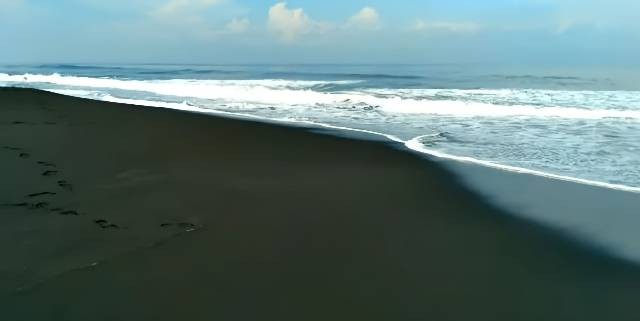 Hamparan Pasir Hitam dan Deburan Ombak Pantai Paseban (Dokumentasi Pribadi, 11/11/2023)