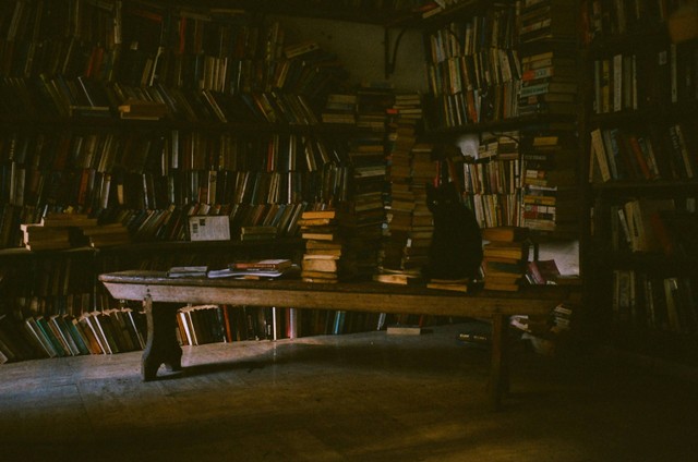 Sumber gambar: https://unsplash.com/photos/brown-wooden-book-shelf-with-books-MkImkLEuqcY