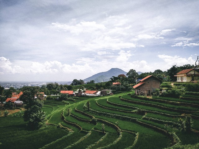 Desa Wisata Kiarasari, Foto Hanya Ilustrasi: Unsplash/Ramadhani Rafid