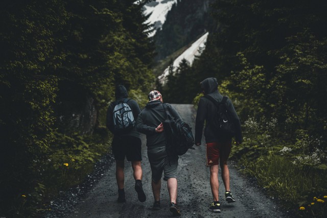 Ilustrasi Kata-Kata Bijak untuk Teman Pengkhianat. Unsplash/Stephan Seeber.