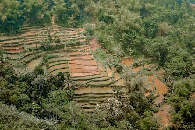 Pembuatan terasering bermanfaat bagi kegiatan ekonomi di bidang pertanian. Sumber: pexels.com