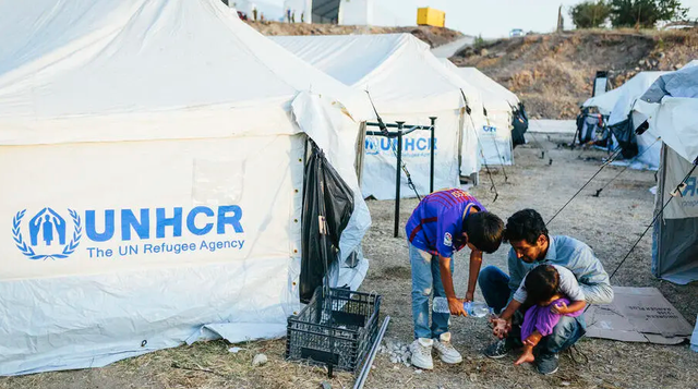 Ilustrasi apa itu UNHCR. Foto: UNHCR.org