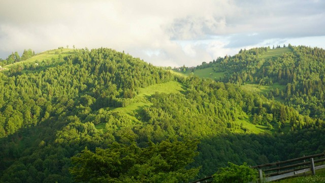 Ilustrasi Ipukan Highland, Foto: Unsplash/Michael Michelovski