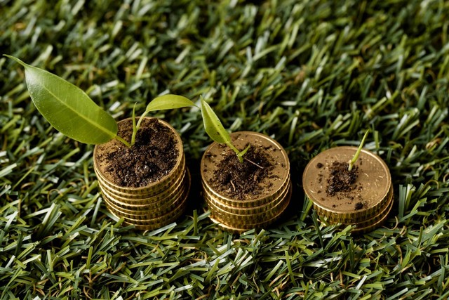 ilusrasi tumpukan koin di rumput dengan tanah dan tanaman | sumber : freepik.com