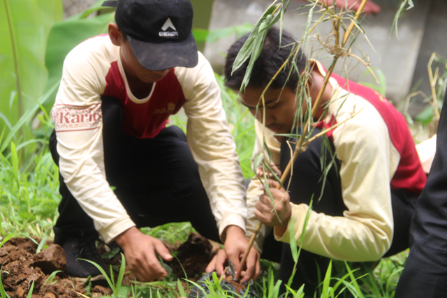 Santri Kelompok Lingkungan Pondok Pesantren Kun Karima Pandeglang Banten dengan antusias menanam 3 jenis bibit bambu, yaitu bambu kuning, bambu hitam, dan bambu betung di lingkungan pesantren. Kegiatan ini diharapkan sebagai sarana edukasi bagi santri dan masyarakat di sekitar lingkungan pesantren (23/11). Foto oleh KEHATI