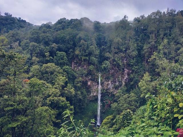 Ilustrasi sejarah Taman Hutan Raya Ir. H. Djuanda, sumber foto: unsplash.com/Ybanez Vijeysechan Hamadi