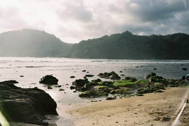 Pantai Gunung Kidul pasir putih, foto hanya ilustrasi: Unsplash/Shannia Christanty