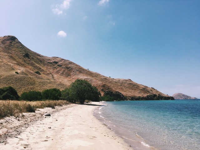 Ilustrasi Penginapan di Labuan Bajo. Sumber: Unsplash/Marcella.