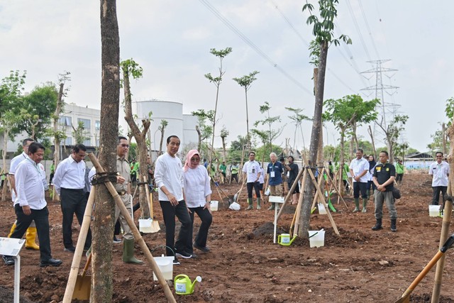 Presiden Jokowi meninjau penanaman pohon di kawasan Hutan Kota Jakarta Industrial Estate Pulogadung (JIEP) di Pulogadung, Jakarta Timur, Rabu (29/11/2023). Foto: Fakhri Hermansyah/ANTARA FOTO