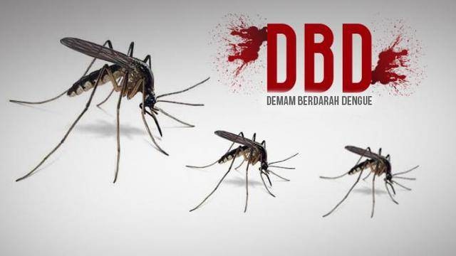 Ilustrasi Demam Berdarah. Foto: Dok. Kumparan