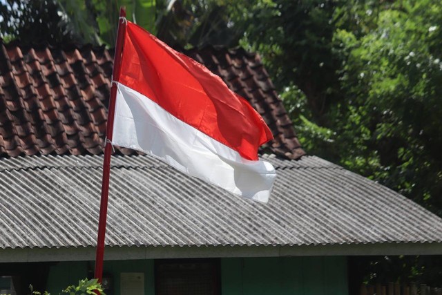 Ilustrasi Apa yang Dimaksud dengan Kabinet Parlementer di Indonesia? (Sumber: Pixabay)