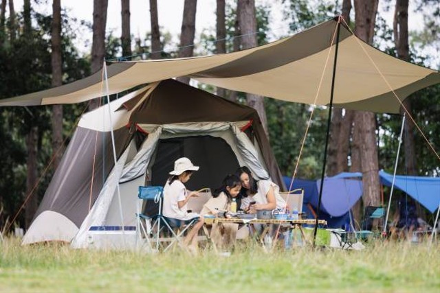 Ilustrasi Tempat Camping Di Tawangmangu, Foto: Unsplash/Sasiistock.