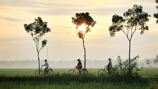 Desa Wisata Sukunan, foto hanya ilustrasi: Unsplash/Dikaseva