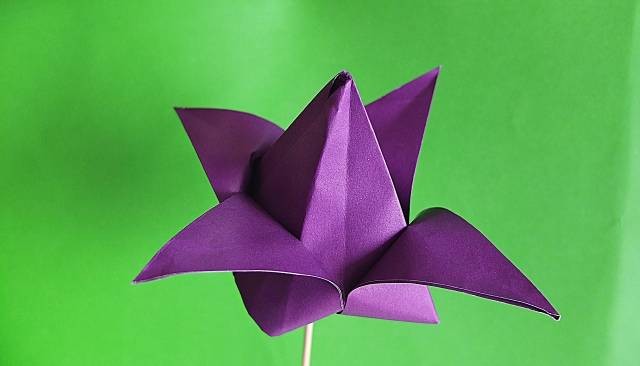 Ilustrasi tutorial bikin bunga dari kertas origami. Foto: Pixabay