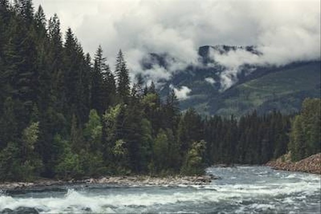 Ilustrasi Kamojang Ecopark: Harga Tiket Masuk dan Lokasinya. Unsplash/Jake Hills