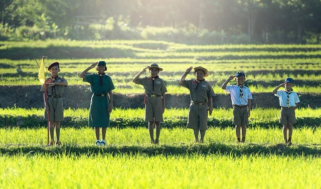 Ilustrasi apa sebutan untuk pramuka di india - Sumber: pixabay.com/sasint