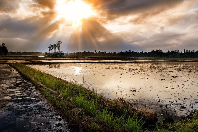 Foto sunset Aceh (Sumber: https://pixabay.com/photos/sunset-aceh-indonesia-landscape-237930/)