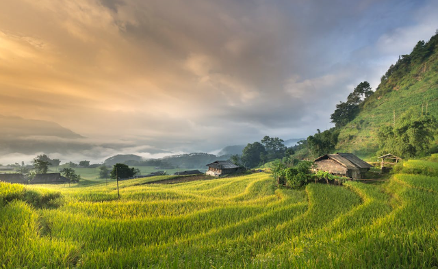 Ilustrasi Lembah Desa Pulutan. Sumber: Pexels/Quang Nguyen Vinh