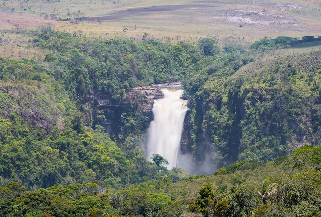 Sungai Esequibo di Guyana. Foto: Paolo Costa/Shutterstock