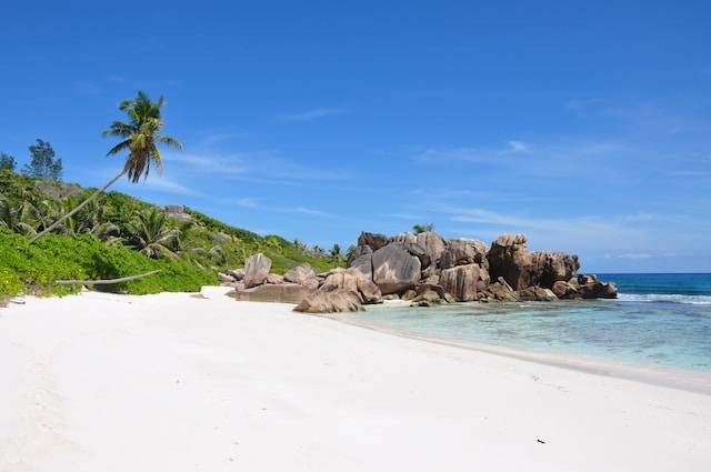 Ilustrasi Pantai Bingin, sumber foto: unsplash.com/Sebastien