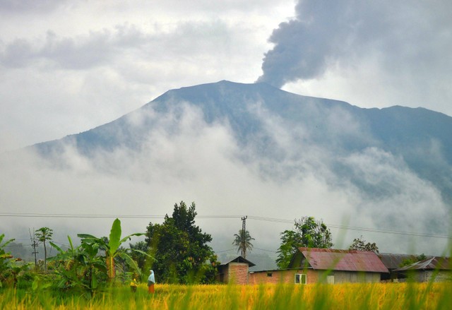 Warga berdiri di pematang sawah saat Gunung Marapi erupsi di Padang Panjang, Sumatera Barat, Rabu (6/12/2023). Foto: Iggoy el Fitra/Antara Foto