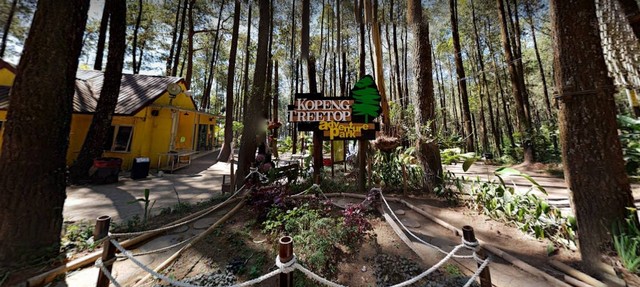 Ilustrasi Kopeng Treetop Adventure Park. Sumber: Google Street View.