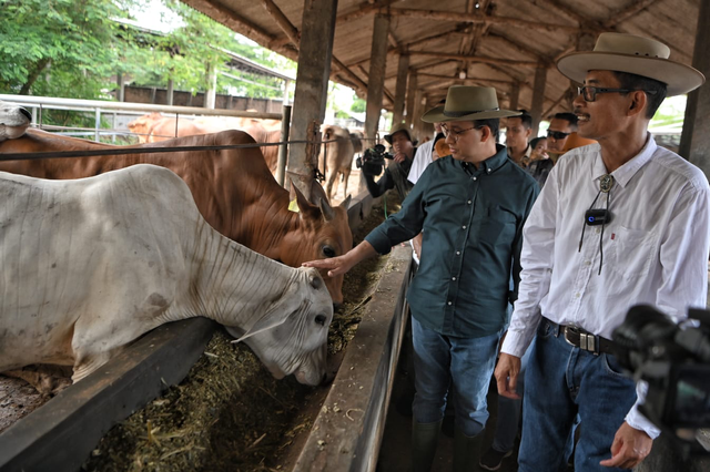 Capres nomor urut 1 Anies Baswedan mengunjungi pengusaha ternak sapi di Kabupaten Lampung Tengah, Provinsi Lampung, Kamis (7/12). Foto: Dok. Istimewa