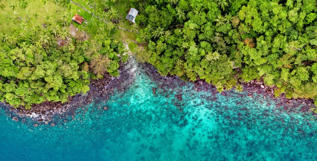 Pulau Pinus Aranio, Wisata Alam. Foto: Pexels/Tom Fisk.