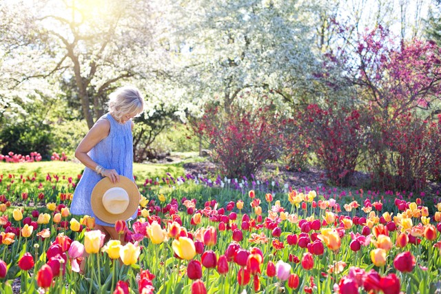 Ilustrasi Batu Love Garden, Foto: pexels/Jill Wellington