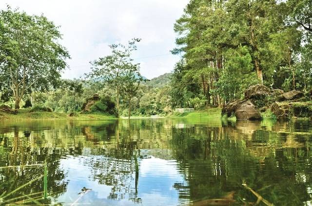 Ilustrasi Onsen Ranca Upas Bandung, sumber foto: unsplash.com/Edwin Petrus