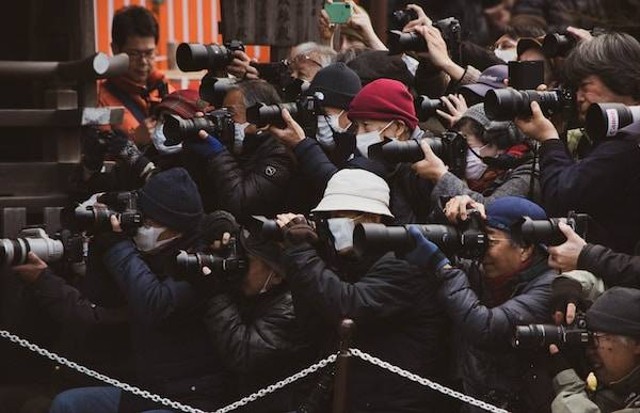 Arti paparazzi. Foto: Unsplash/Zeg Young
