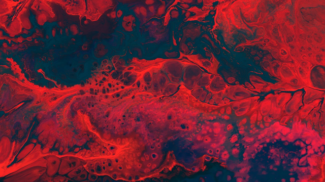 Kandungan darah pada arteri. Foto Hanya Ilustrasi. Sumber foto: Unsplash/Cassi Josh