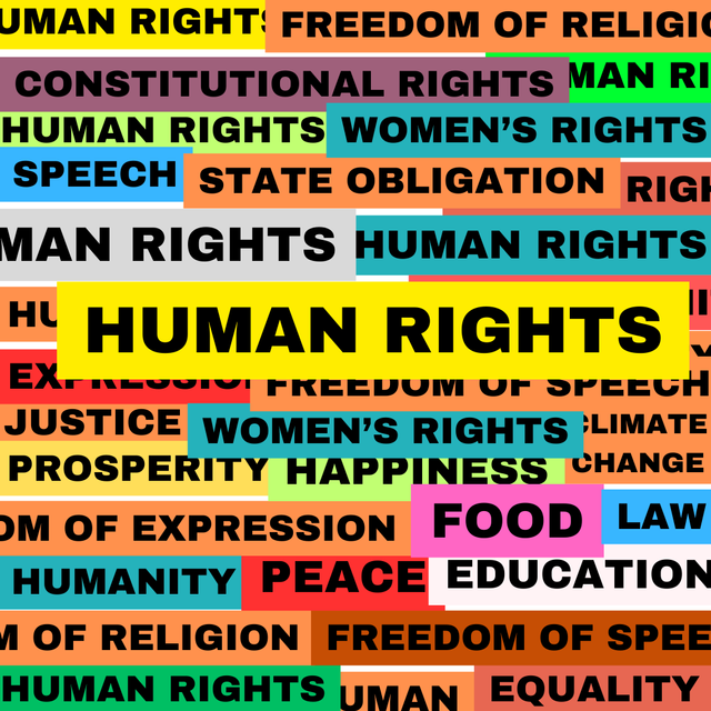 Hal-hal yang dikategorikan human rights (Foto: Istimewa)