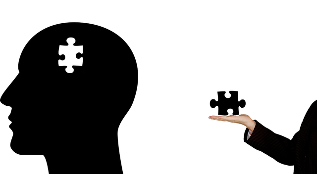 Ilustasi otak manusia bagaikan puzzle (Sumber : Pixabay)