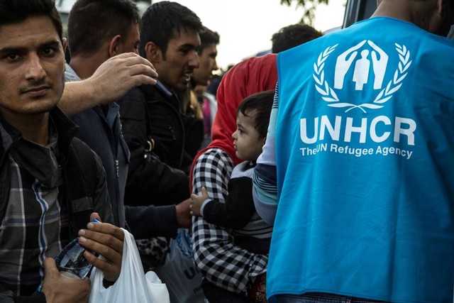 Ilustrasi UNHCR. Foto: BalkansCat/Shutterstock