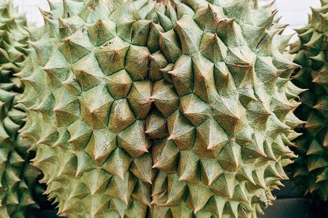 Ilustrasi durian berbuah berapa tahun sekali. Foto: Pixabay