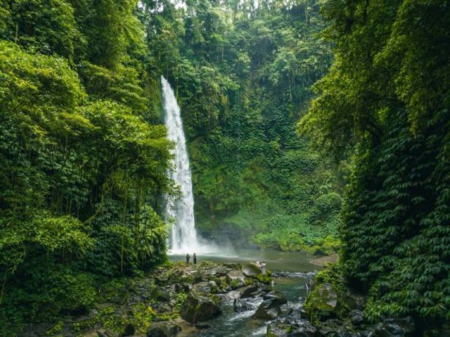 ilustrasi keindahan curug cipeuteuy, sumber: istock.com/tobiasjo