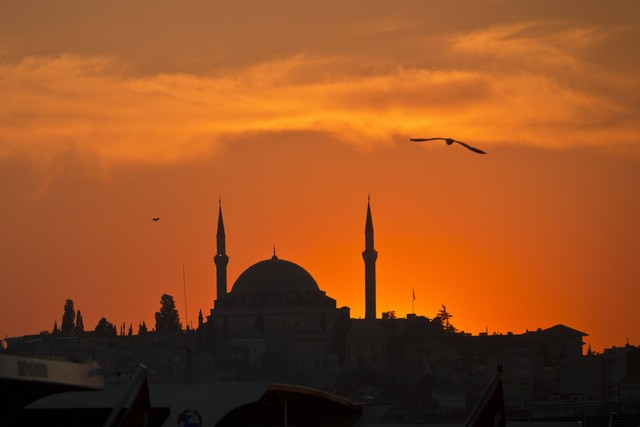 Arti sayyidina. Foto: Unsplash/Simon Infanger