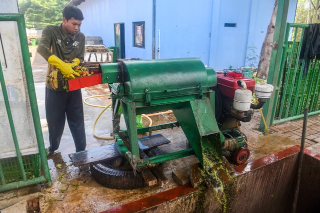 Petugas operator biodigester memasukkan sisa pakan unggas dan primata ke dalam mesin cacah di lokasi pengolahan limbah organik Taman Margasatwa Ragunan, Jakarta. Foto: ANTARA FOTO/Indrianto Eko Suwarso