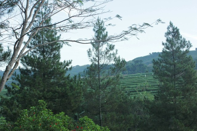 Saung Koffie Hideung. Foto hanya ilustrasi, bukan tempat sebenarnya. Sumber: Unsplash/Yolanda Djajakesukma