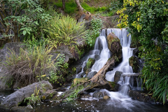 3 Tempat Wisata di Pagaralam. Foto:Pexels/Soly Moses.