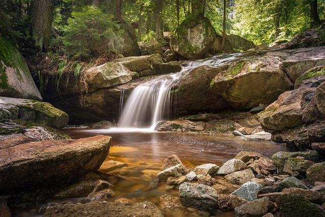 Wisata Kebun Kina Bukit Tunggul. Foto hanya ilustrasi, bukan tempat sebenarnya. Sumber: Pixabay.