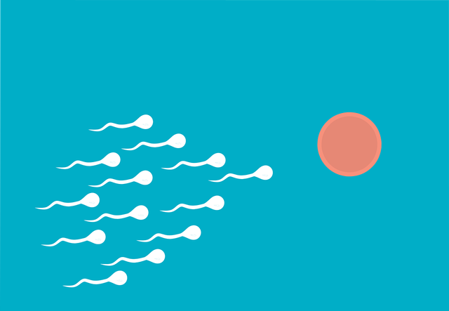 Ilustrasi Tempat Penyimpanan Sperma Sementara. Sumber: Pixabay/Mohamed Hassan