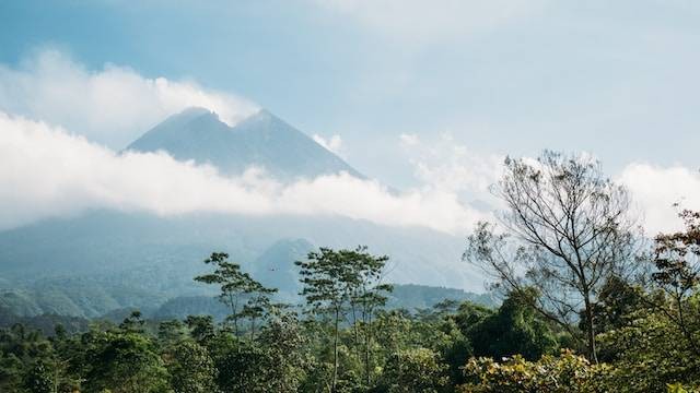 Plunyon Kalikuning. Foto hanya ilustrasi bukan tempat sebenarnya. Sumber foto: Unsplash.com/Laurence Ashdown