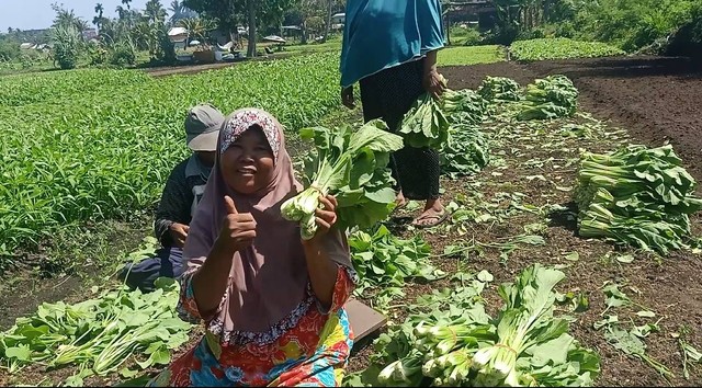 Manfaat mengelola kebun sayur dan serta membuat kebun menjadi subur